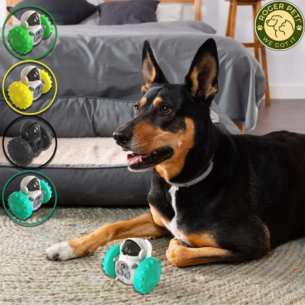 Dog Food Dispenser Toy